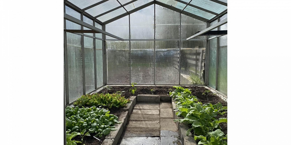 6237 NELSON ROAD Terrace Photo 25 6237 NELSON ROAD Terrace Photo 25